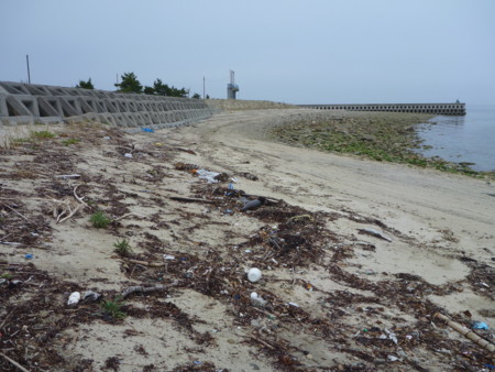 f:id:hyla:20130602140742j:image