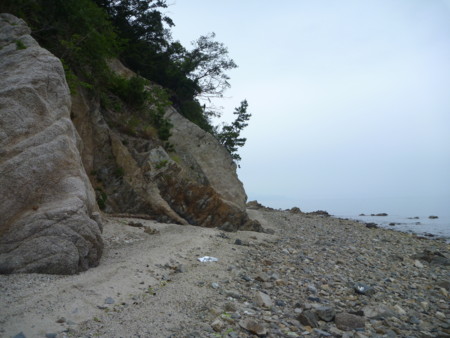 f:id:hyla:20130602154626j:image