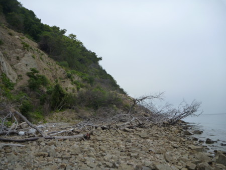 f:id:hyla:20130602160925j:image