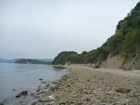 f:id:hyla:20130602160930j:image