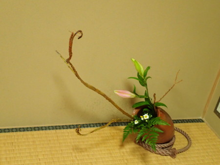 f:id:hyla:20141111140320j:image
