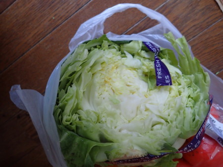 f:id:hyla:20151214092305j:image