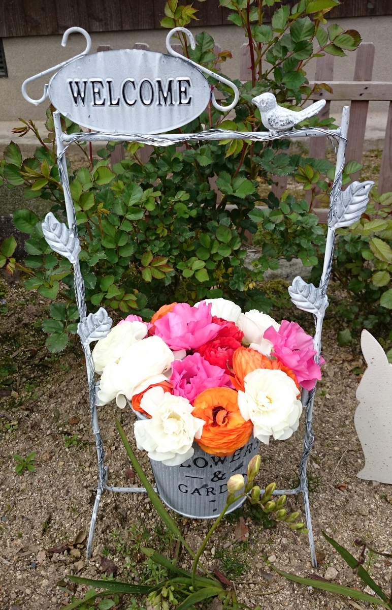 f:id:hylajaponica666:20190405172052j:plain f:id:hylajaponica666:20190405172052j:plain