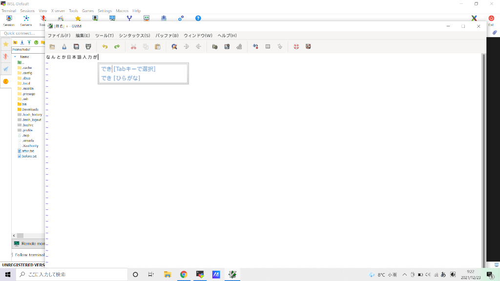 f:id:hymd3a:20211223133003p:plain