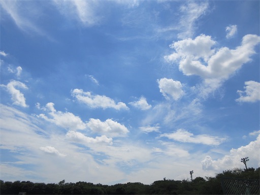 f:id:hymyritsuko:20170716140120j:image f:id:hymyritsuko:20170716140120j:image