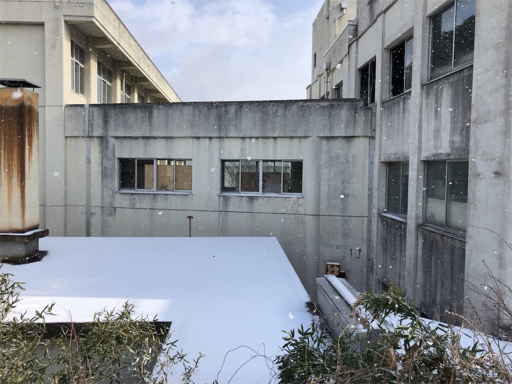 f:id:hyng6207:20190226181923j:image