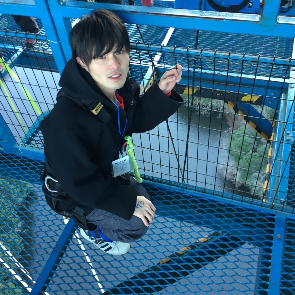 f:id:hynm:20161224154839j:plain