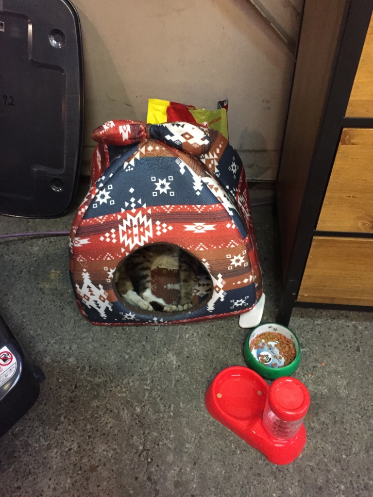 f:id:hynm_chinatown-rix:20161204181411j:plain f:id:hynm_chinatown-rix:20161204181411j:plain