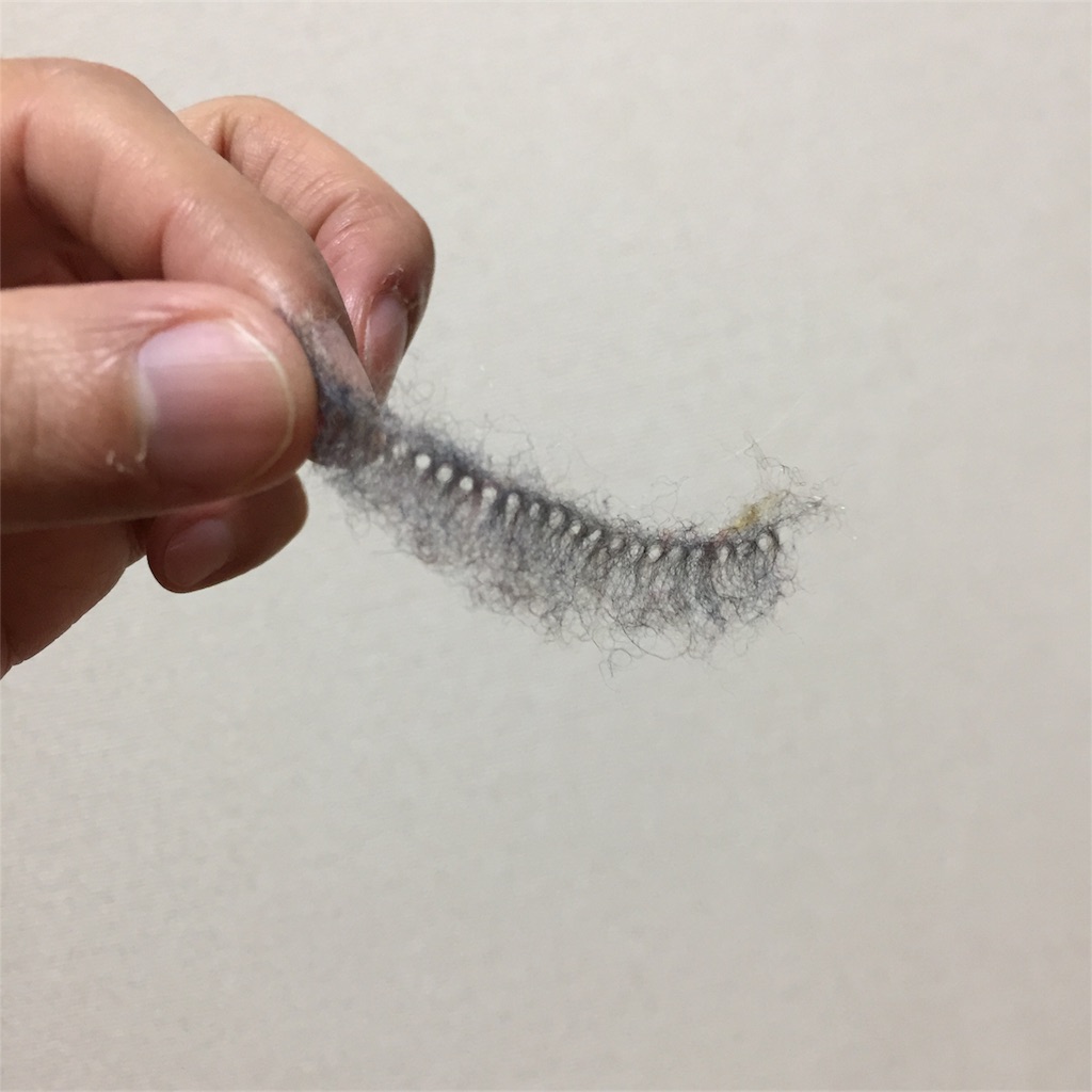 f:id:hynm_hayakawa:20161230204322j:image f:id:hynm_hayakawa:20161230204322j:image