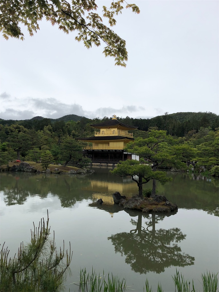 f:id:hynm_hayashi:20190507105349j:image