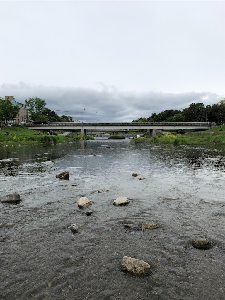 f:id:hynm_hayashi:20190507105438j:image