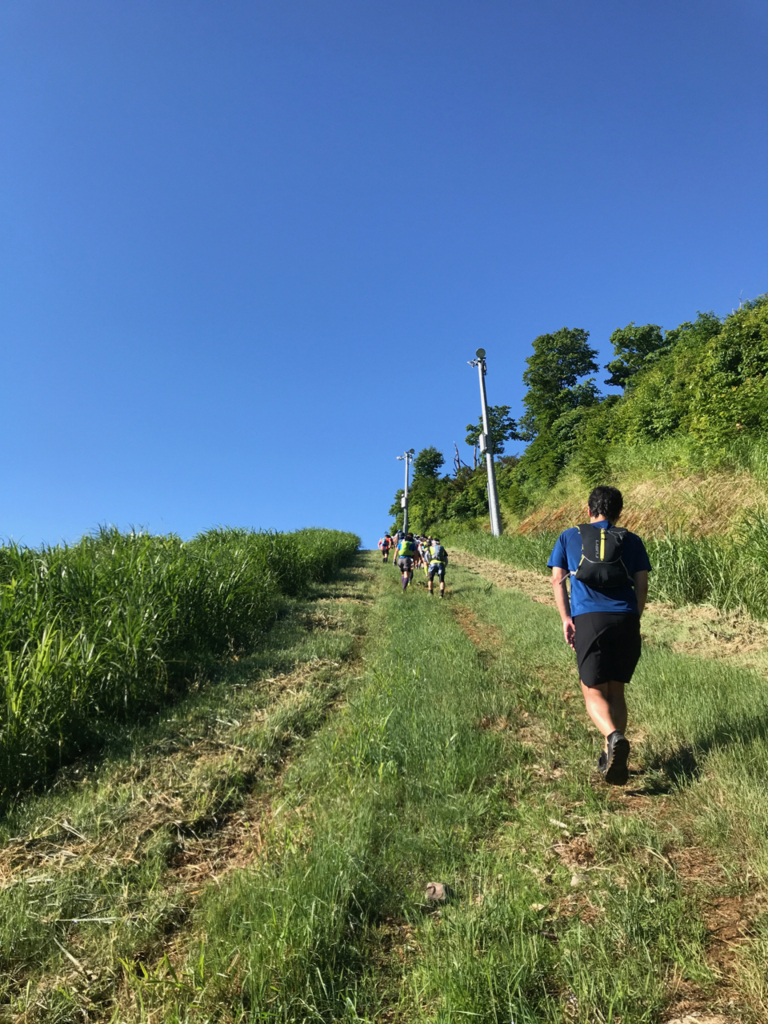 f:id:hynm_hrc:20180619010427j:plain f:id:hynm_hrc:20180619010427j:plain