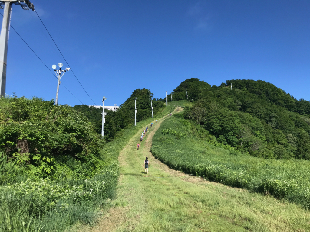 f:id:hynm_hrc:20180619010448j:plain f:id:hynm_hrc:20180619010448j:plain
