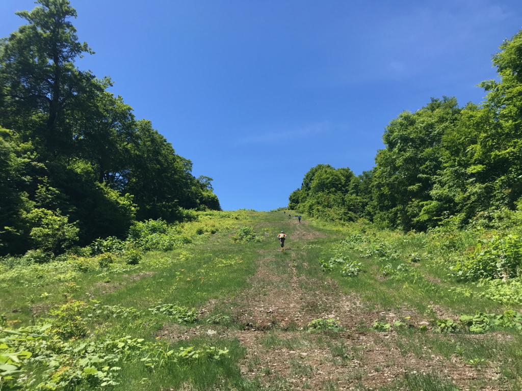 f:id:hynm_hrc:20180619011014j:plain f:id:hynm_hrc:20180619011014j:plain