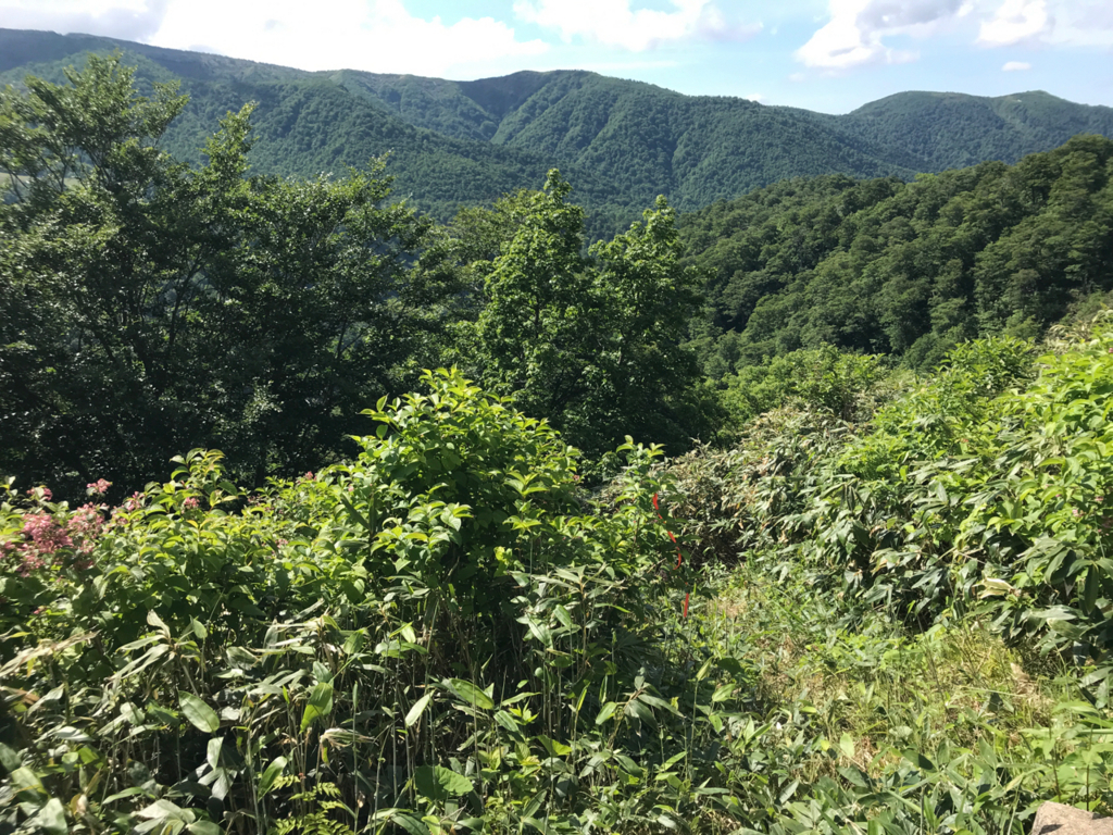 f:id:hynm_hrc:20180619011304j:plain f:id:hynm_hrc:20180619011304j:plain