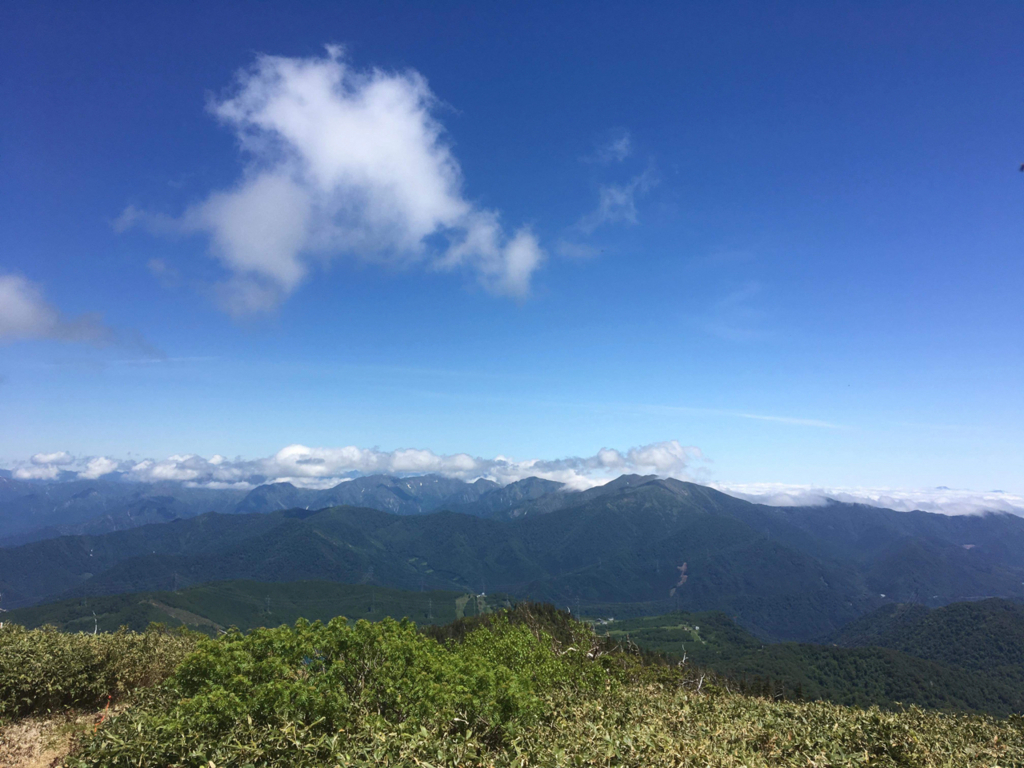 f:id:hynm_hrc:20180619011352j:plain f:id:hynm_hrc:20180619011352j:plain