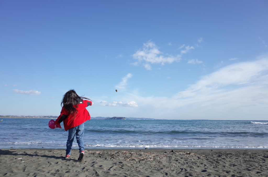 f:id:hynm_kaise:20171230161035j:plain
