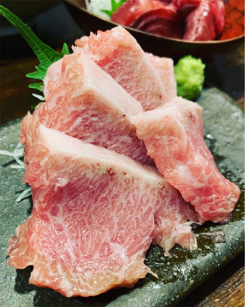 f:id:hynm_kumasaka:20190521015327j:image