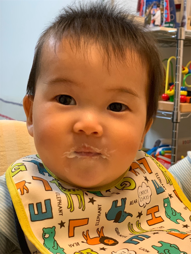 f:id:hynm_kumasaka:20190619032827j:image
