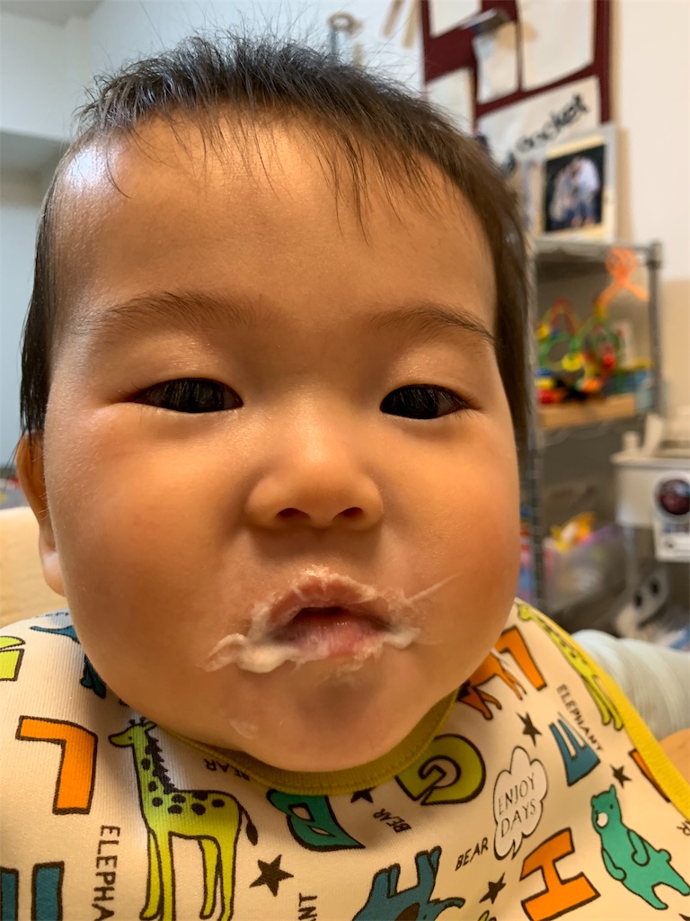 f:id:hynm_kumasaka:20190619032831j:image