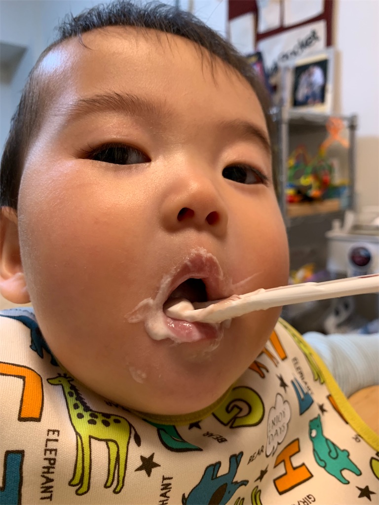 f:id:hynm_kumasaka:20190619032834j:image