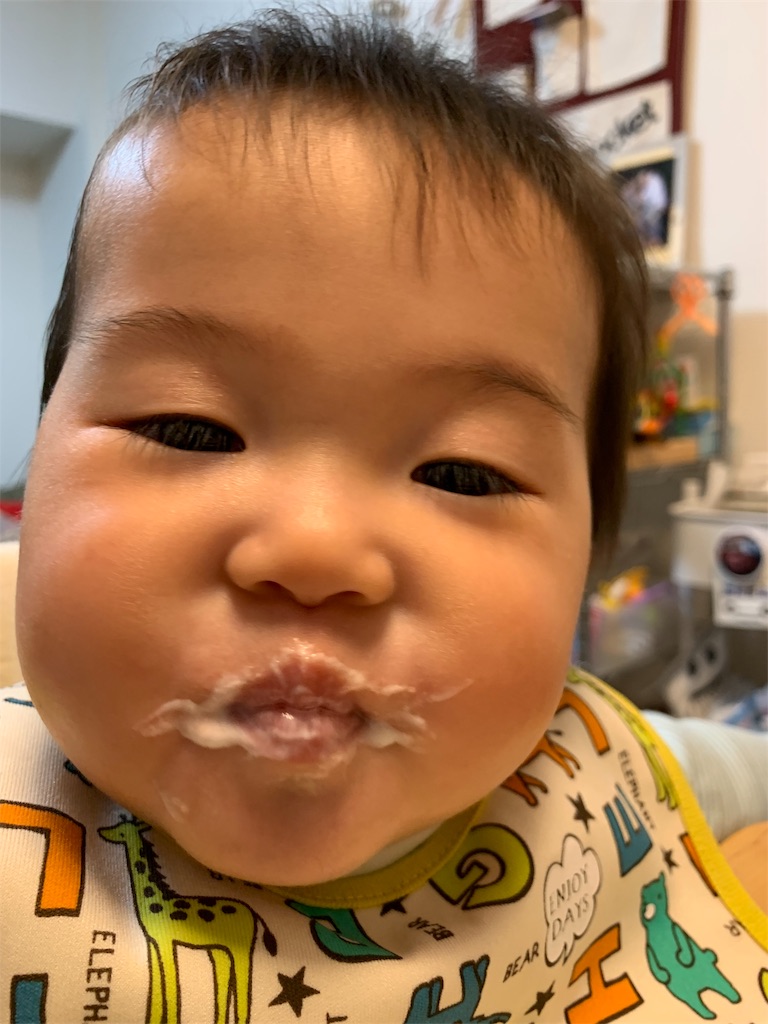 f:id:hynm_kumasaka:20190619032839j:image