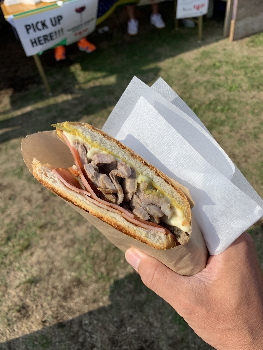 f:id:hynm_minai:20190601153547j:plain