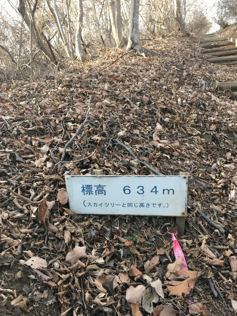 f:id:hynm_muroffice:20190119153951j:plain f:id:hynm_muroffice:20190119153951j:plain