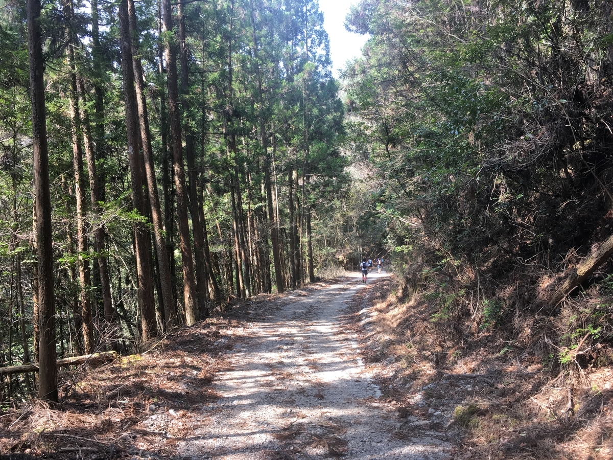 f:id:hynm_muroffice:20190407095019j:plain f:id:hynm_muroffice:20190407095019j:plain