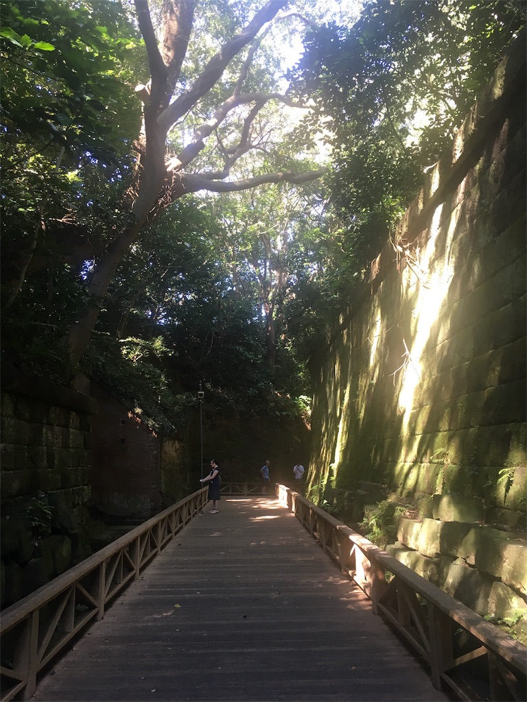 f:id:hynm_ogasawara:20181007234441j:image f:id:hynm_ogasawara:20181007234441j:image