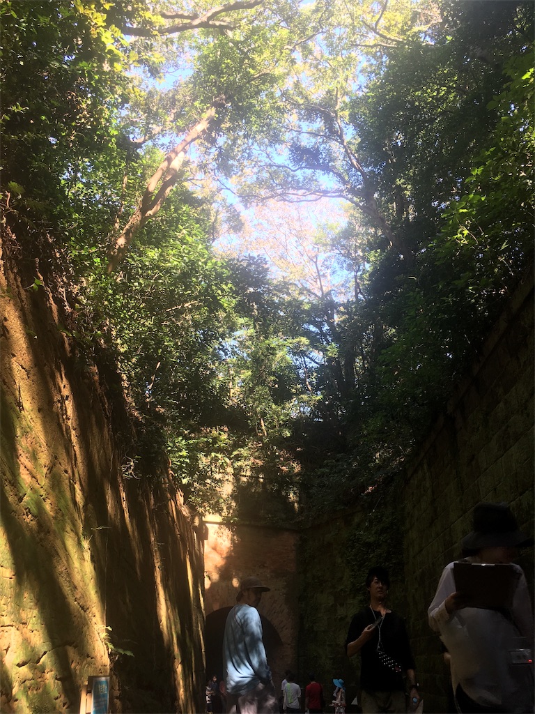f:id:hynm_ogasawara:20181007234628j:image f:id:hynm_ogasawara:20181007234628j:image