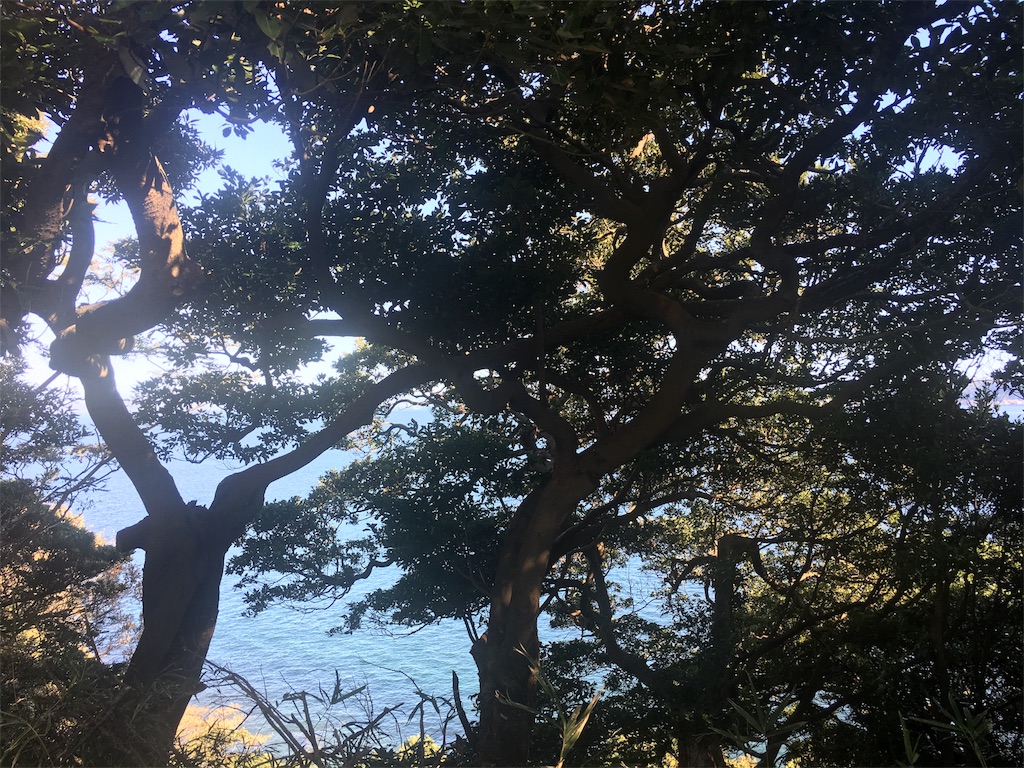 f:id:hynm_ogasawara:20181007234843j:image f:id:hynm_ogasawara:20181007234843j:image