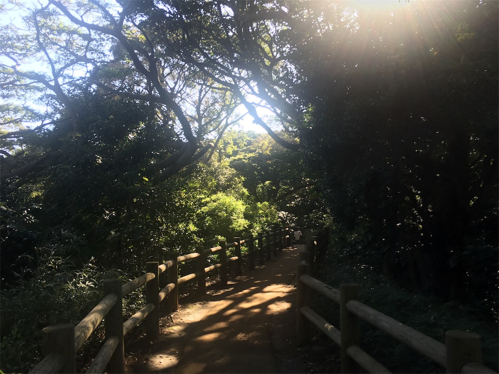 f:id:hynm_ogasawara:20181007234938j:image f:id:hynm_ogasawara:20181007234938j:image