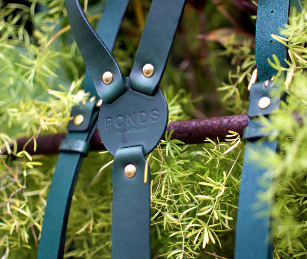 f:id:hynm_plant_soil:20151215203410p:plain f:id:hynm_plant_soil:20151215203410p:plain