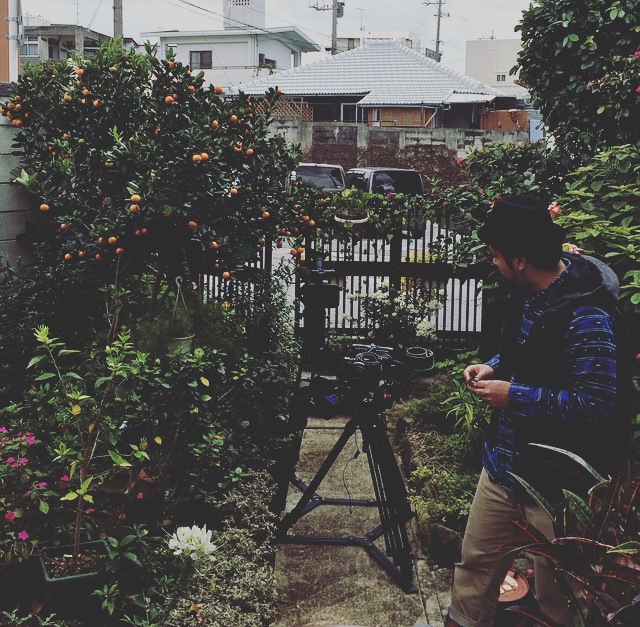 f:id:hynm_plant_soil:20160207000927j:plain