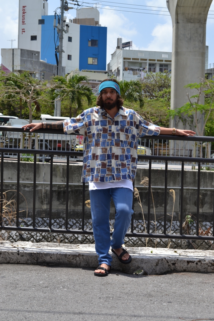 f:id:hynm_plant_soil:20160430170830j:plain