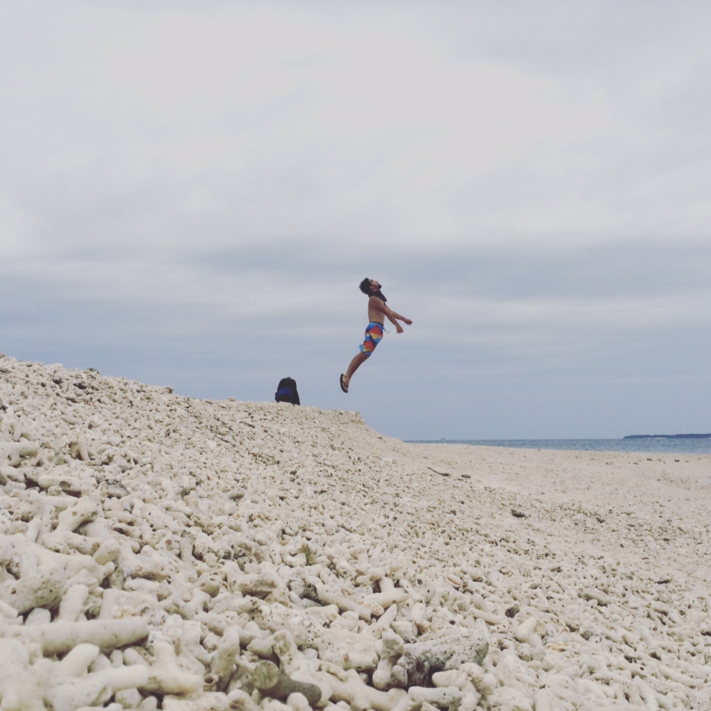 f:id:hynm_plant_soil:20160902214143j:plain