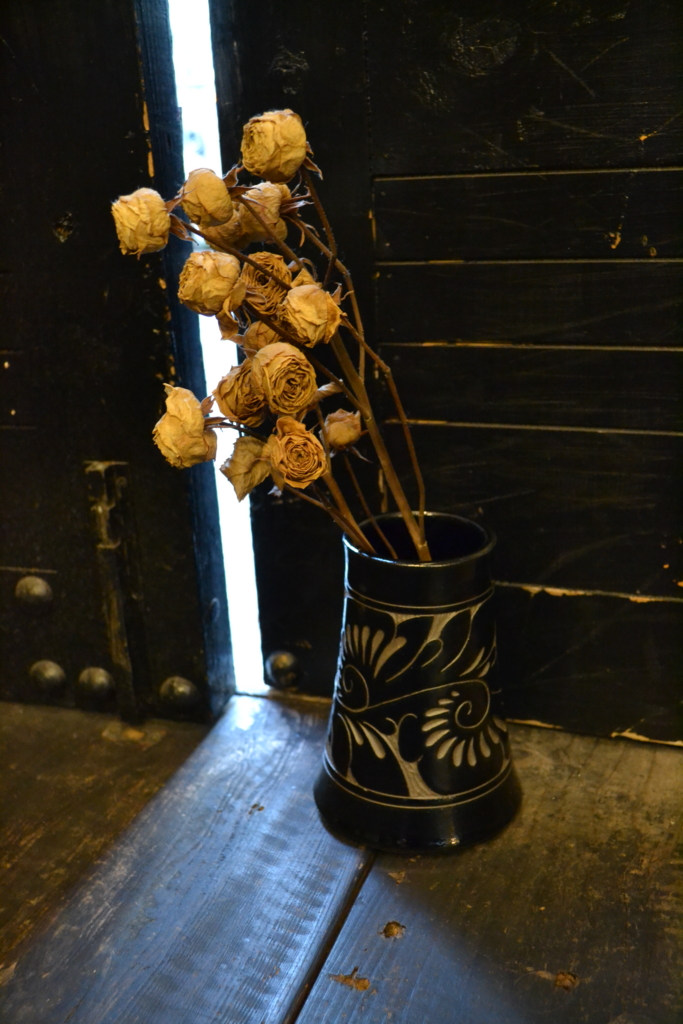 f:id:hynm_plant_soil:20161217182013j:plain