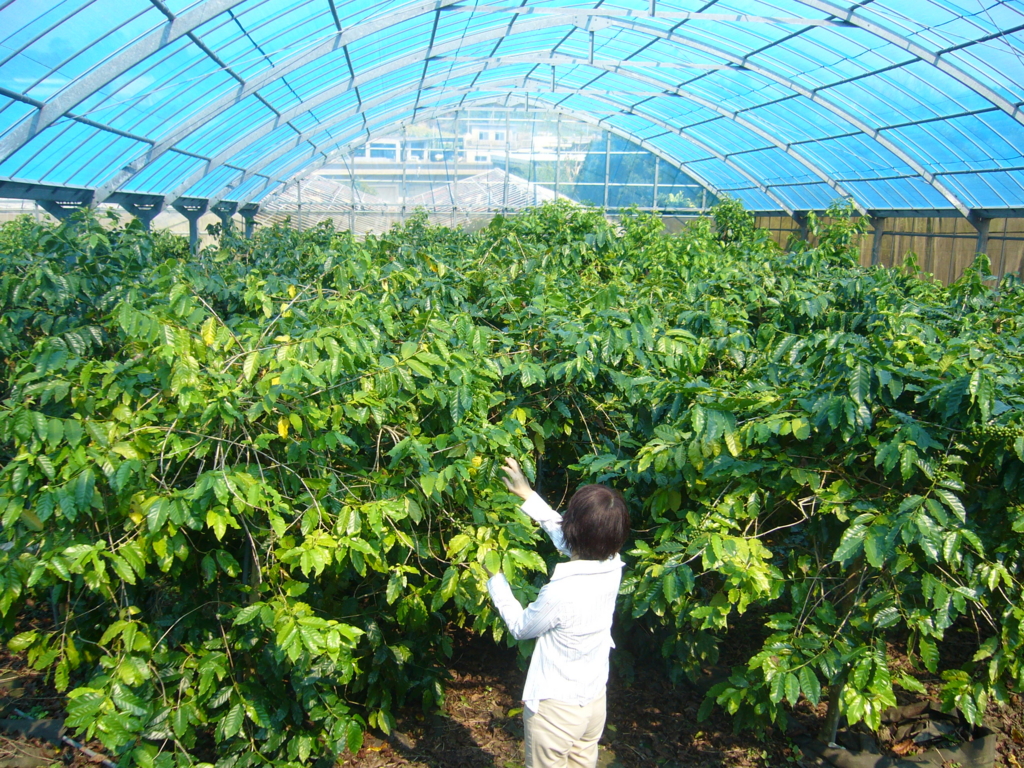 f:id:hynm_plant_soil:20161229123747j:plain