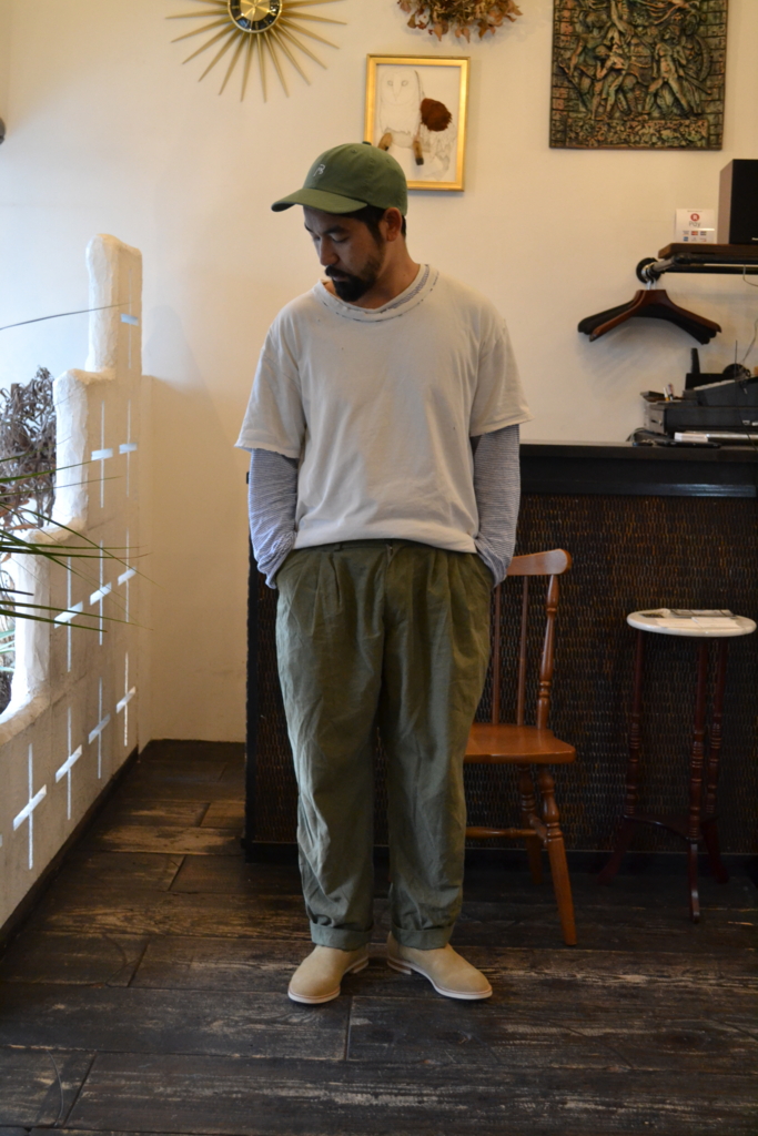 f:id:hynm_plant_soil:20170220175110j:plain