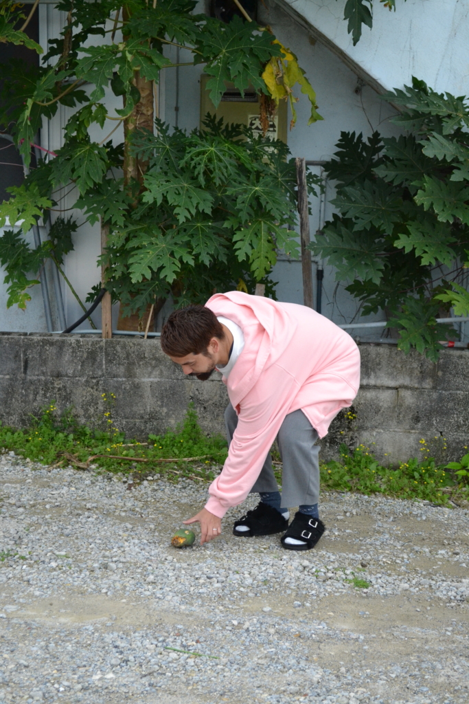 f:id:hynm_plant_soil:20170324173818j:plain f:id:hynm_plant_soil:20170324173818j:plain