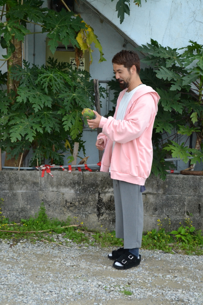 f:id:hynm_plant_soil:20170324173905j:plain f:id:hynm_plant_soil:20170324173905j:plain
