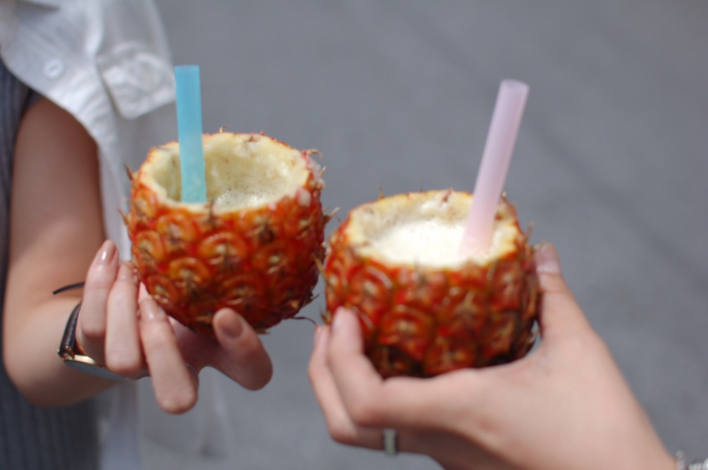 f:id:hynm_plant_soil:20170425184813j:plain