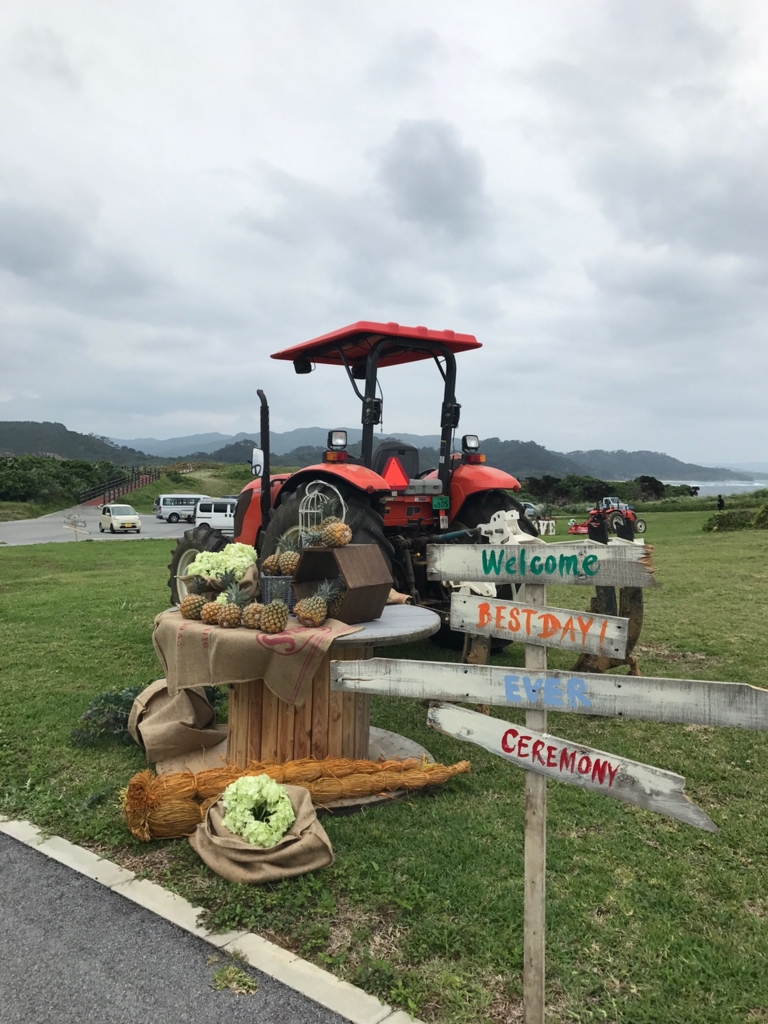 f:id:hynm_plant_soil:20170425192117j:plain