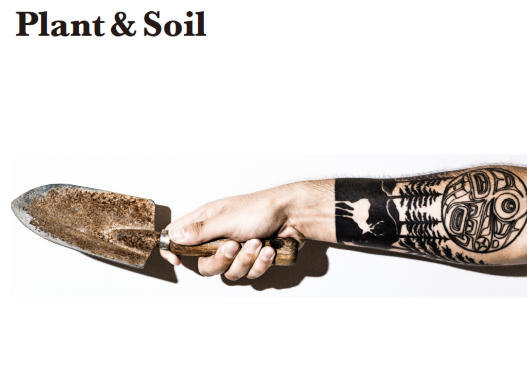 f:id:hynm_plant_soil:20170503160926p:plain f:id:hynm_plant_soil:20170503160926p:plain