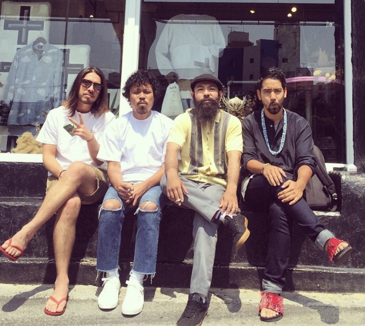 f:id:hynm_plant_soil:20171226173842j:plain