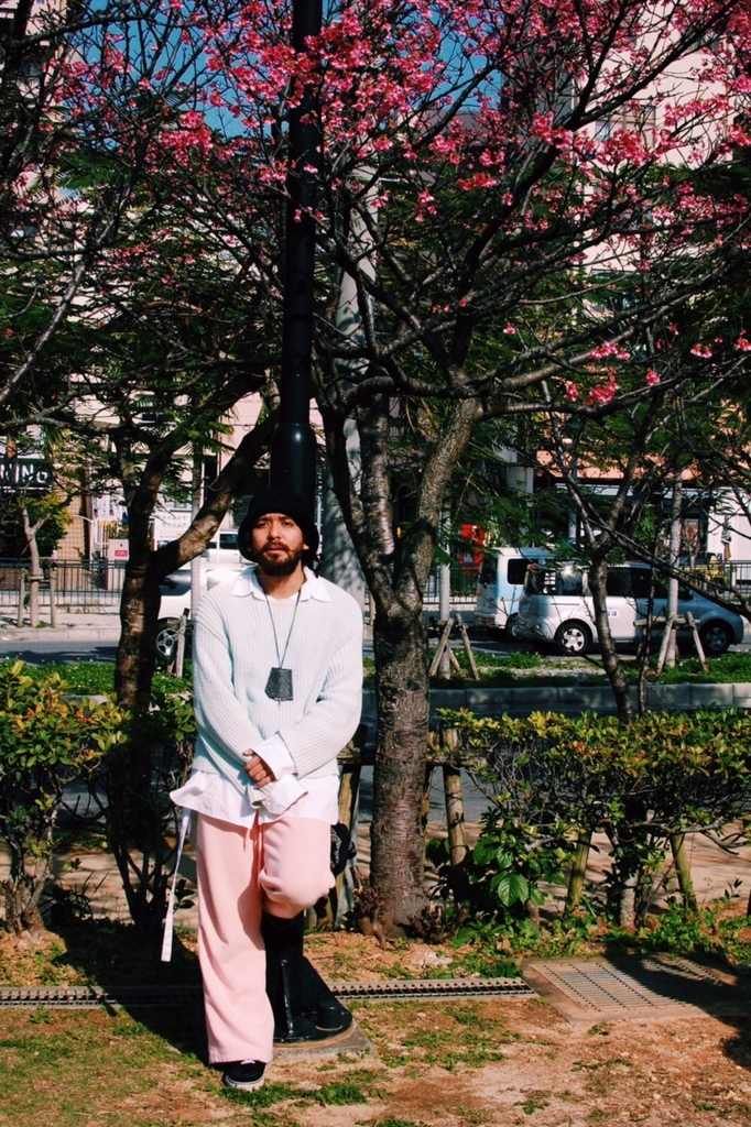 f:id:hynm_plant_soil:20180213172921j:plain f:id:hynm_plant_soil:20180213172921j:plain