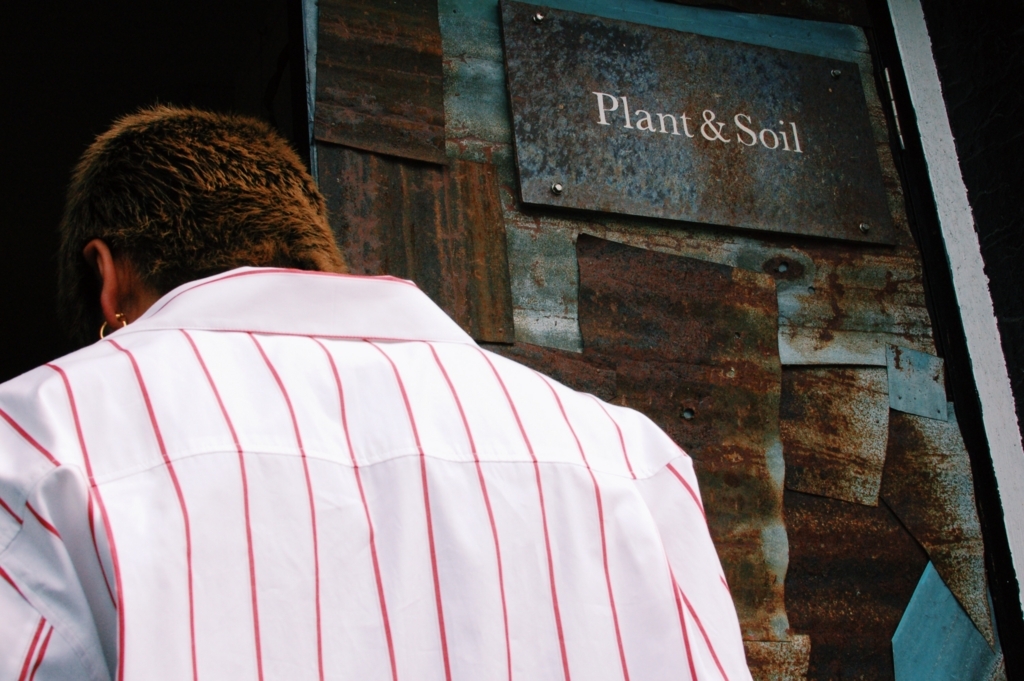 f:id:hynm_plant_soil:20180219190333j:plain