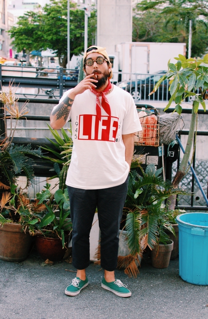 f:id:hynm_plant_soil:20180324201559j:plain