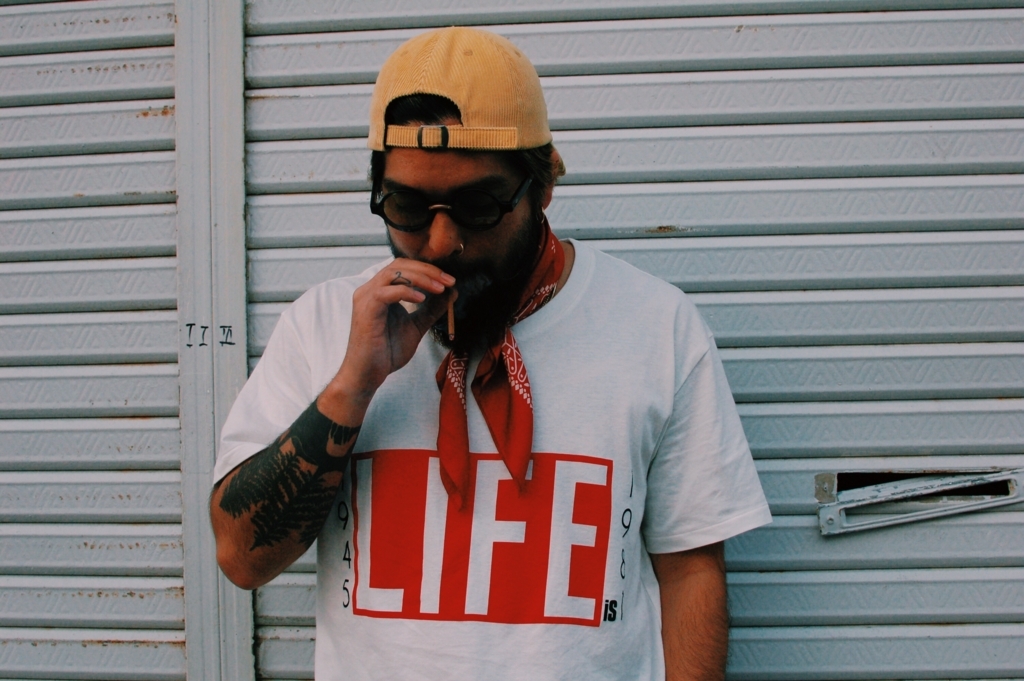 f:id:hynm_plant_soil:20180324202003j:plain